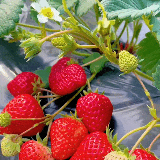 0909-1-min-20240909111102-bedwj